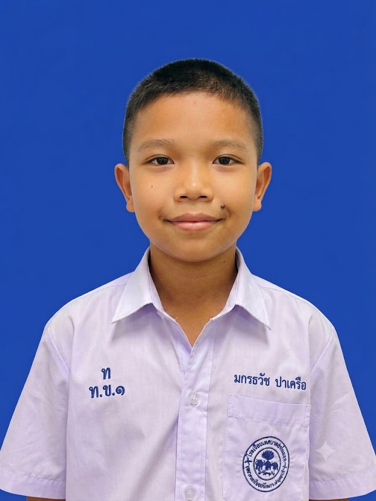 เด็กชายมกรธวัช ปาเครือ