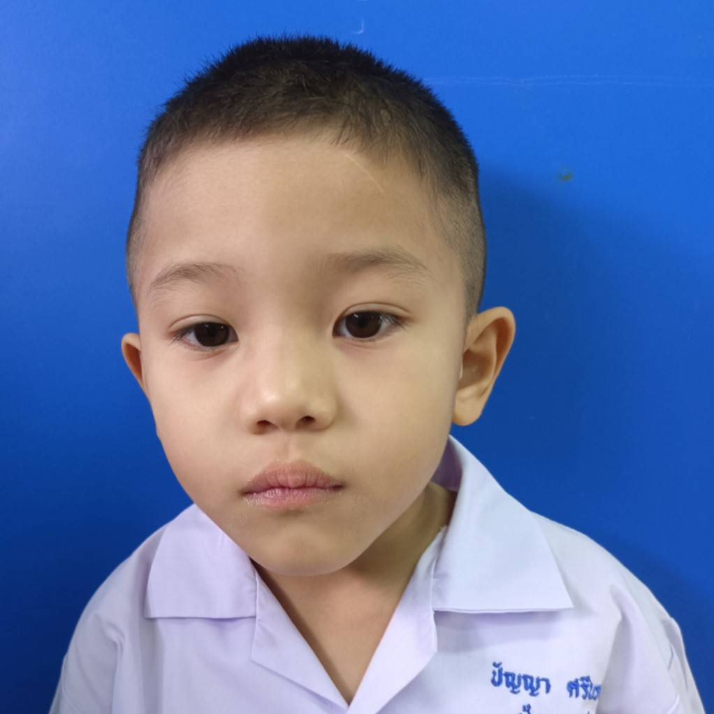เด็กชายปัญญา ศรีนรคุต