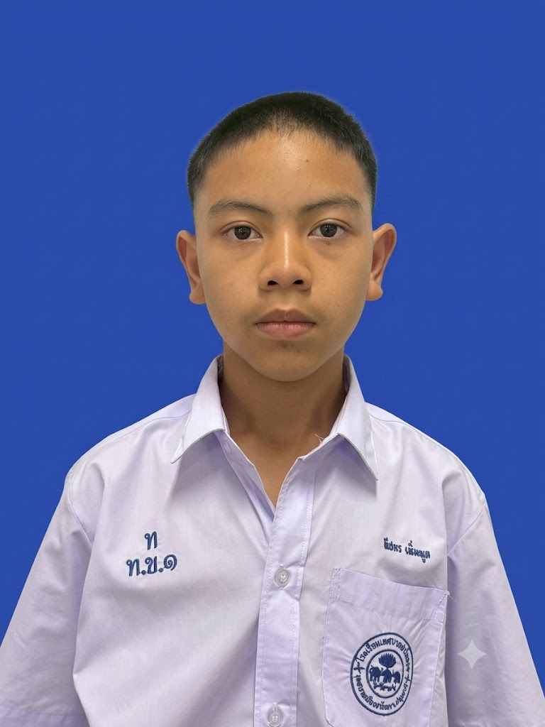 เด็กชายทีปกร เพิ่มพูล