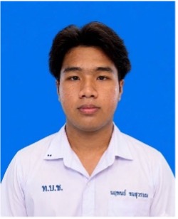 นายนฤพนธ์ ชมสุวรรณ
